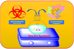 Graphical abstract: A cytochrome c-urea functionalized dipeptide conjugate: an efficient HBD framework to synthesize 4H-pyrans via one-pot multicomponent reaction