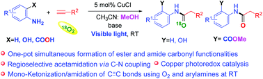 Graphical abstract: Visible light-promoted copper catalyzed regioselective acetamidation of terminal alkynes by arylamines