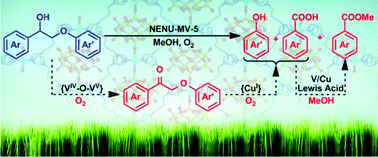 Graphical abstract: A multicentre synergistic polyoxometalate-based metal–organic framework for one-step selective oxidative cleavage of β-O-4 lignin model compounds