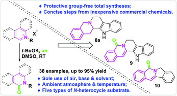 Graphical abstract: Base-promoted aerobic oxidation of N-alkyl iminium salts derived from isoquinolines and related heterocycles
