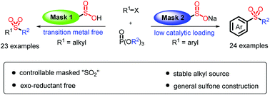 Graphical abstract: General sulfone construction via sulfur dioxide surrogate control