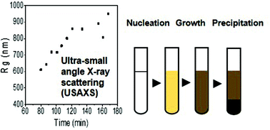 Graphical abstract: Growth kinetics of humins studied via X-ray scattering