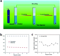 Graphical abstract: Environmentally benign multiphase solid–liquid–gas catalysis