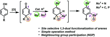 Graphical abstract: Site-selective 1,3-double functionalization of arenes using para-quinol, C–N, and C–C/C–P three-component coupling