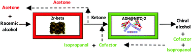 Graphical abstract: Production of chiral alcohols from racemic mixtures by integrated heterogeneous chemoenzymatic catalysis in fixed bed continuous operation