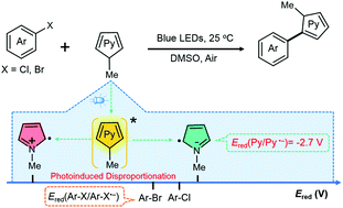 Graphical abstract: Visible-light induced disproportionation of pyrrole derivatives for photocatalyst-free aryl halides reduction