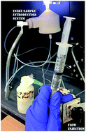 Graphical abstract: Characterization of a 12 M KOH zincate fuel for green energy backup systems using flow injection coupled to inductively coupled plasma optical emission spectrometry