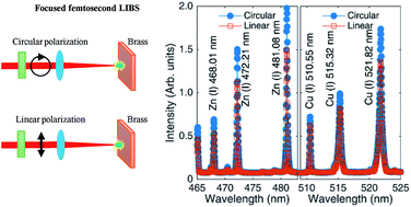 Graphical abstract: Signal improvement using circular polarization for focused femtosecond laser-induced breakdown spectroscopy