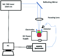 Graphical abstract: On the detection of heavy elements in the Euphorbia indica plant using laser-induced breakdown spectroscopy and laser ablation time of flight mass spectrometry