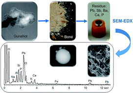 Graphical abstract: Towards a robust interpretation of forensic analysis of phosphorus and calcium traces in gunshot residue