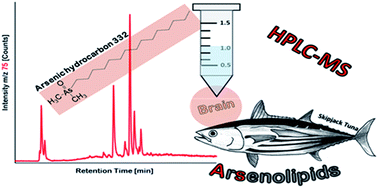 Graphical abstract: Lipid-soluble arsenic species identified in the brain of the marine fish skipjack tuna (Katsuwonus pelamis) using a sequential extraction and HPLC/mass spectrometry