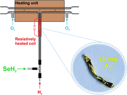 Graphical abstract: Modular design of a trap-and-atomizer device with a gold absorber for selenium collection after hydride generation