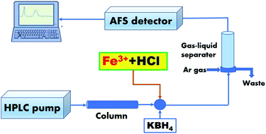 Graphical abstract: Fe3+-catalyzed degradation of organic mercury as a simple post-column interface for the speciation of mercury by high-performance liquid chromatography-catalytic cold vapor-atomic fluorescence spectrometry