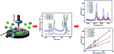 Graphical abstract: Accurate sulfur determination of coal using double-pulse laser-induced breakdown spectroscopy