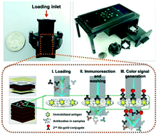 Graphical abstract: Paper-based multiplexed vertical flow assay for point-of-care testing