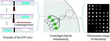 Graphical abstract: A novel electromagnet-triggered pillar valve and its application in immunoassay on a centrifugal platform