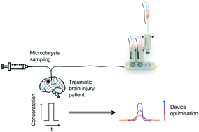 Graphical abstract: 3D printed microfluidic device for online detection of neurochemical changes with high temporal resolution in human brain microdialysate