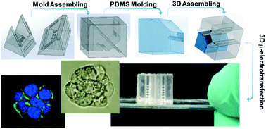 Graphical abstract: 3D-printing enabled micro-assembly of a microfluidic electroporation system for 3D tissue engineering