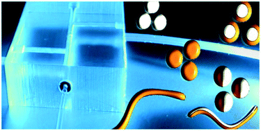 Graphical abstract: On-the-fly exchangeable microfluidic nozzles for facile production of various monodisperse micromaterials