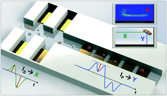 Graphical abstract: High-throughput electrical position detection of single flowing particles/cells with non-spherical shape