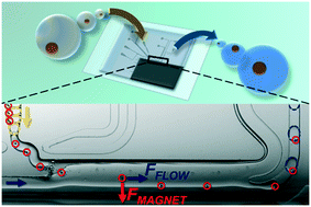 Graphical abstract: Droplet CAR-Wash: continuous picoliter-scale immunocapture and washing