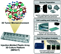 Graphical abstract: Engineering tumor vasculature on an injection-molded plastic array 3D culture (IMPACT) platform