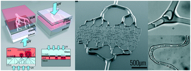 Graphical abstract: Microfluidic blood vasculature replicas using backside lithography