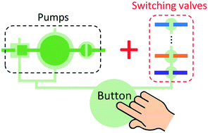 Graphical abstract: Integrated microfluidic pumps and valves operated by finger actuation