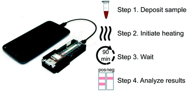Graphical abstract: Microfluidic rapid and autonomous analytical device (microRAAD) to detect HIV from whole blood samples