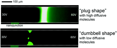 Graphical abstract: Dynamics of driftless preconcentration using ion concentration polarization leveraged by convection and diffusion