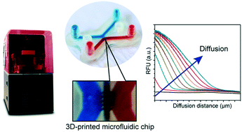 Graphical abstract: Partitioning of hydrogels in 3D-printed microchannels