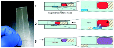 Graphical abstract: Microfluidic SlipChip device for multistep multiplexed biochemistry on a nanoliter scale