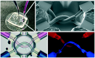 Graphical abstract: 3D microfluidics via cyclic olefin polymer-based in situ direct laser writing