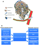 Graphical abstract: Tumor-on-a-chip for integrating a 3D tumor microenvironment: chemical and mechanical factors