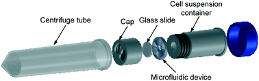 Graphical abstract: Green extraction of healthy and additive free mitochondria with a conventional centrifuge