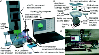 Graphical abstract: Liquid marbles as biochemical reactors for the polymerase chain reaction