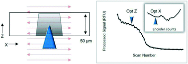 Graphical abstract: Automated microchannel alignment using innate opto-signature for microchip electrophoresis