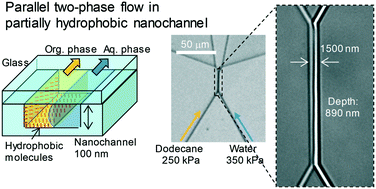 Graphical abstract: Parallel multiphase nanofluidics utilizing nanochannels with partial hydrophobic surface modification and application to femtoliter solvent extraction