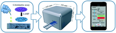 Graphical abstract: A sample-to-answer, portable platform for rapid detection of pathogens with a smartphone interface