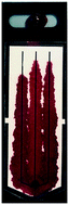 Graphical abstract: Paper-based passive pumps to generate controllable whole blood flow through microfluidic devices