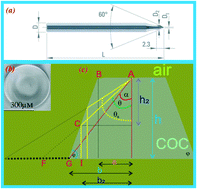 Graphical abstract: Optimising the supercritical angle fluorescence structures in polymer microfluidic biochips for highly sensitive pathogen detection: a case study on Escherichia coli