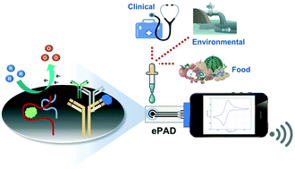 Graphical abstract: Electrochemical paper-based devices: sensing approaches and progress toward practical applications