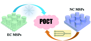 Graphical abstract: Bioinspired multistructured paper microfluidics for POCT