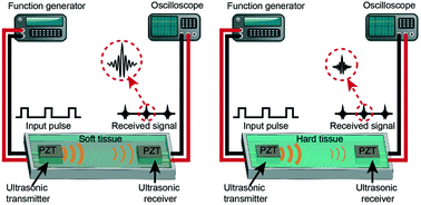 Graphical abstract: A lab-on-chip ultrasonic platform for real-time and nondestructive assessment of extracellular matrix stiffness