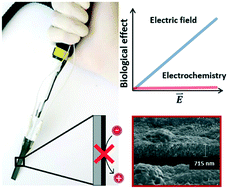 Graphical abstract: Controllable cell manipulation in a microfluidic pipette-tip design using capacitive coupling of electric fields