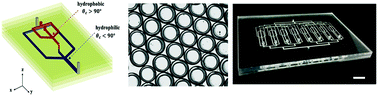 Graphical abstract: Parallelizable microfluidic dropmakers with multilayer geometry for the generation of double emulsions