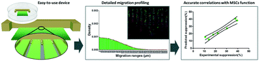 Graphical abstract: Single cell migration profiling on a microenvironmentally tunable hydrogel microstructure device that enables stem cell potency evaluation