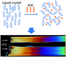 Graphical abstract: Monitoring the two-dimensional concentration profile of toluene vapors by using polymer-stabilized nematic liquid crystals in microchannels