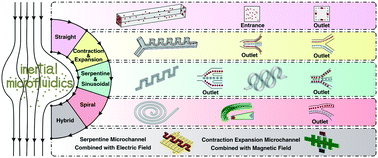 Graphical abstract: Computational inertial microfluidics: a review
