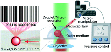 Graphical abstract: Optical-resonance-assisted generation of super monodisperse microdroplets and microbeads with nanometer precision